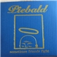 Piebald - Sometimes Friends Fight